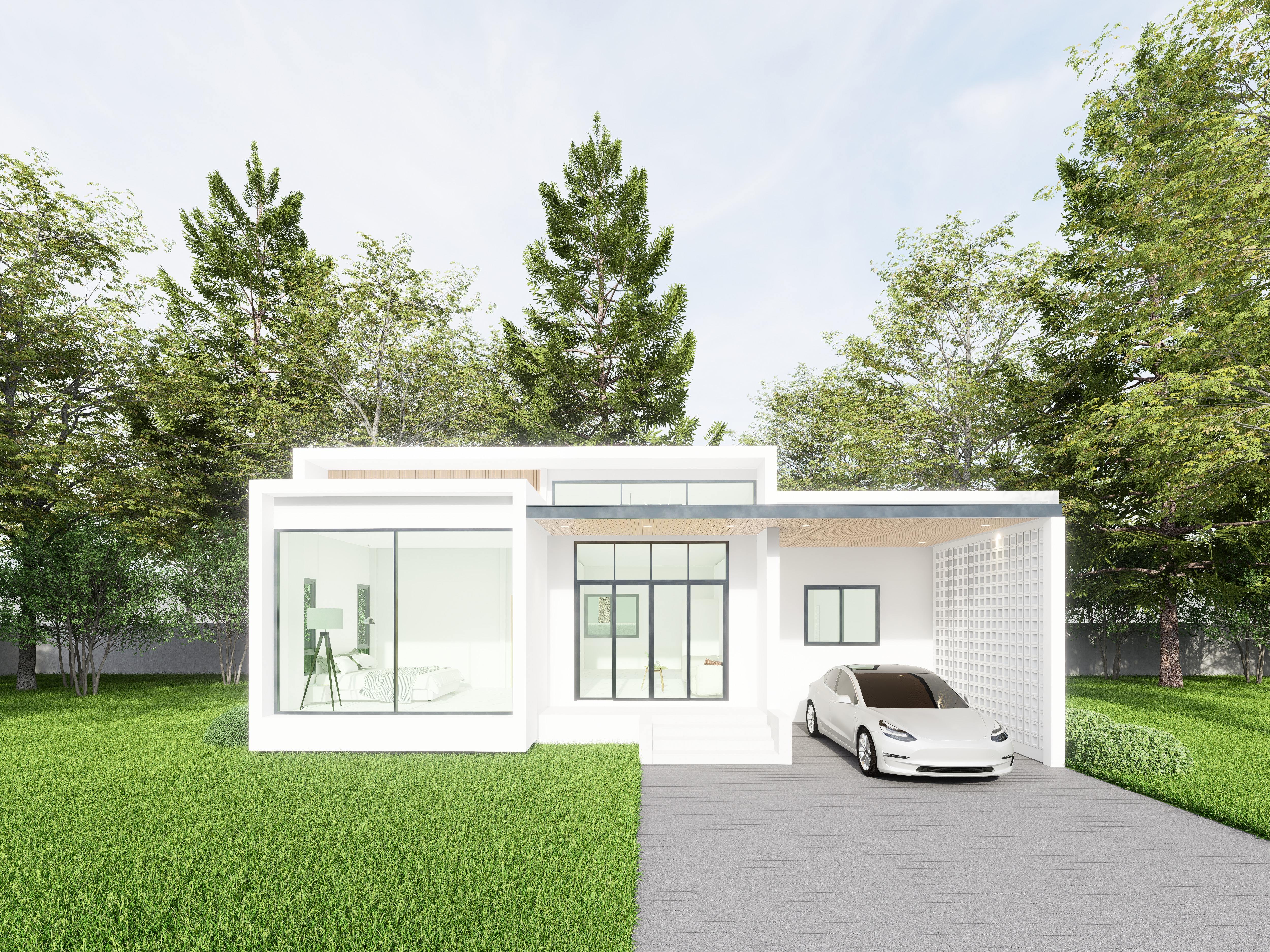 Modern Single-Storey House - Design view 01