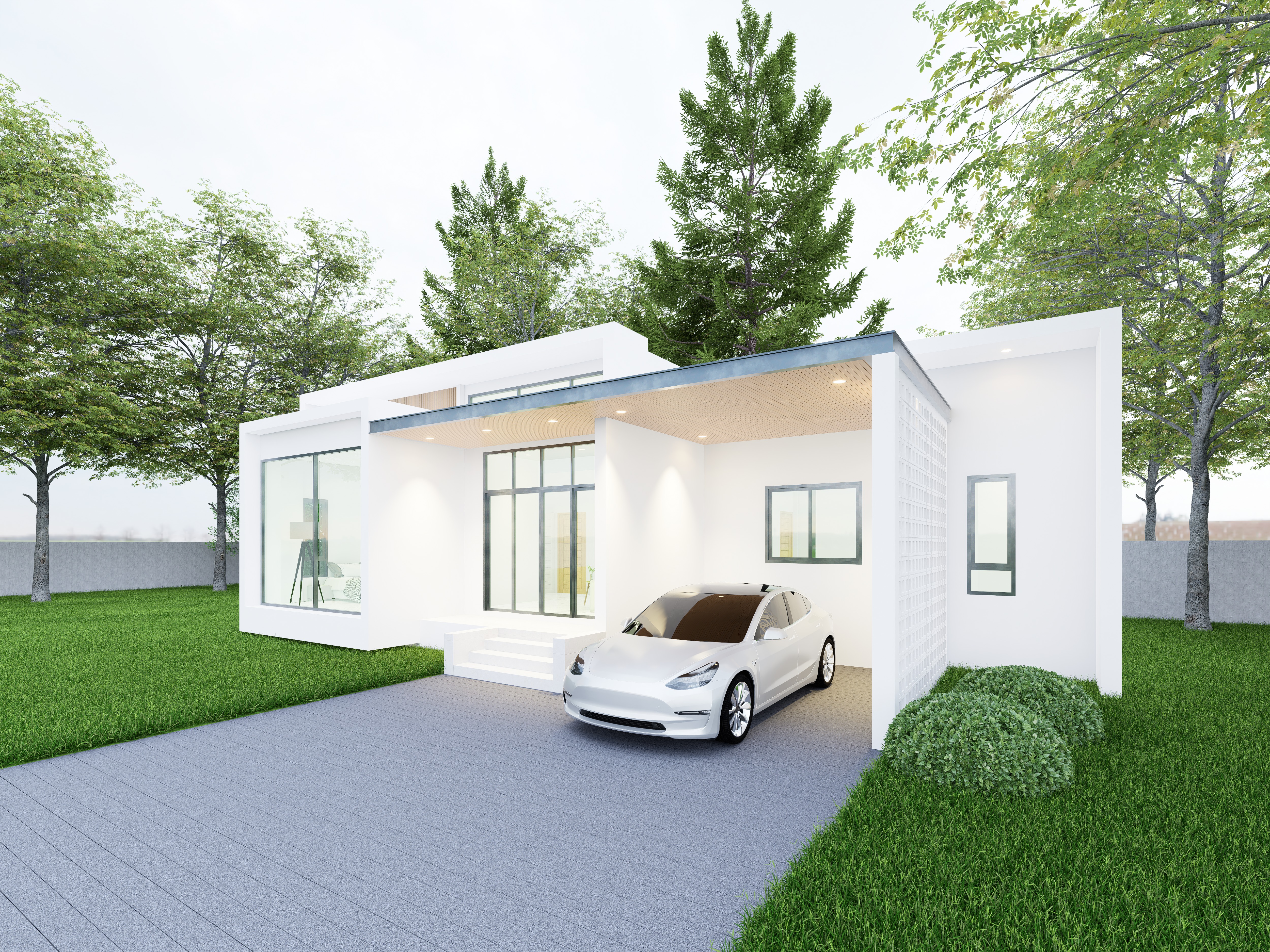 Modern Single-Storey House - Design view 03