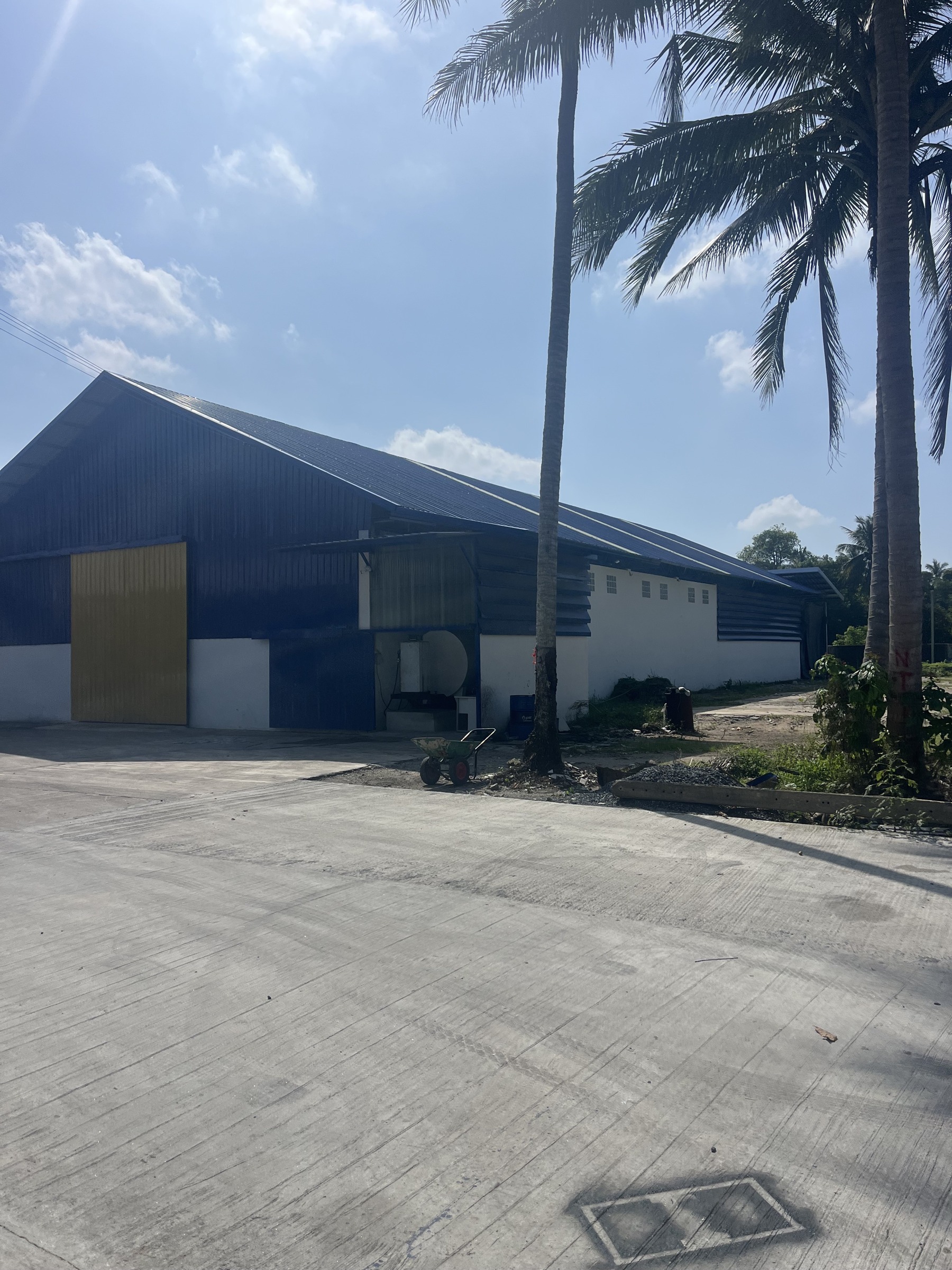 Factory Renovation - Tha Phae - Factory in its tropical setting